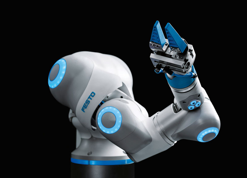 Бионические роботы Festo